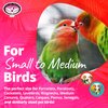 Super Bird Creations Mini Starburst Bird Toy - Colorful Bird Toy for Parrots, Cockatiels, Conures & Parakeets, Cockatiel Toy, Budgie Toys, Bird Toys, Bird Entertainment, Small Bird Size, 5.5" x 2.5"