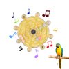 PEUTIER Parrot Spinner Toy, Parakeet Toy Wheel Bird Toys Interactive Spinning Rattle Parrot Toys Cockatiel Toys for Bird Cage for Entertainment Chewing Exercise