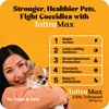 ToltraMax Toltrazuril 2.5% for Horses, Dogs, Cats, 120mL/4 Ounce, for Non-Food Chain Animals, Peanut Butter