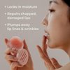 MOTHER MADE Lip Care Balm Stocking Stuffer - Vitamin E Vegan Lip Mask, with Organic Shea Butter, Natural Oils, Vegan Collagen, Gifts for Women, Korean Skin Care, 0.46 fl.oz.