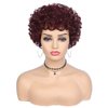 Quantum Love Short Curly Human Hair Wigs for Black Women 6 Inches Afro Kinky Curly Brazilian Virgin Human Hair Short Pixie Cut Wigs 99J