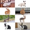 Toymany 12PCS Bunny Figures Toys for Kids, Easter Rabbit Figures Farm Animal Toy for Cake Toppers Party Favors for Toddlers