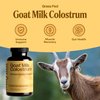 Mayfair Naturals Goat Milk Colostrum, Grass Fed, Natural Immune System and Gut Health Support, 120 Capsules