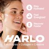 Harlo - Citrus Salt Electrolyte Drink Mix with Bovine Collagen & Creatine - Creatine Monohydrate Powder - Energy Drink Powder - Pre Workout Powder - Sugar Free Energy Drinks - Post Workout Recovery
