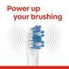 Colgate 360 Advanced Whitening Electric Toothbrush Replacement Head, 2 Count