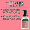 Mrs. Meyer's Clean Day Foaming Hand Soap, Watermelon Scent (10 Fl oz (Pack of 1))