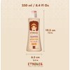 ETNIKER Nourishing Shampoo | Cleanse, Hydrate & Nourish | Coconut & Shea Butter | Free from Sulfates, Salt, Silicones, Mineral Oil, and Parabens | by L’MAR (1 Bottle, 8.4, Fl Oz)