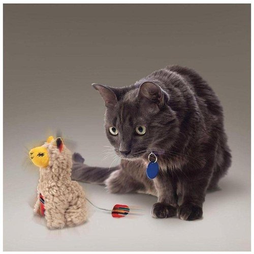 Kong Company 38745920: Softies Buzzy Llama Catnip Toy
