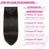 POGINJA Clip in Hair Extensions Real Human Hair, 20 Inch Remy Human Hair Clip in Extensions for Black Women, Invisible Natural Straight Seamless Clip ins Hair Extensions 8pcs Double Weft #1B 100g
