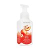 Bath and Body Works Gentle Foaming Hand Soap 8.75 Ounce 1-Pack (Peach Bellini)