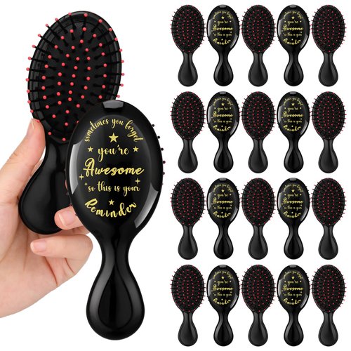 SiliFine 20 Pcs Inspirational Mini Hair Brush Bulk Travel Detangler Hair Brush Employee Appreciat...