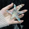 Bartosi Starfish Hair Clips Mermaid Hair Accessories Sea Star Hair Barrettes Beach Wedding Hair Accessories for Women (Pack of 2)