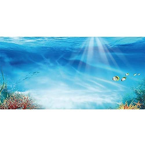 AWERT Undersea Theme Aquarium Background Colorful Coral Tropical Fish Sunshine Underwater World Fish Tank Background 24x12 inches Vinyl