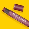 Burt's Bees Shimmer Lip Tint Stocking Stuffers Set, Tinted Lip Balm Stick, Moisturizing for All Day Hydration with Natural Glowy Pigmented Finish & Buildable Color, Fig (4 Pack)