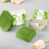 Bgtecho 3PCS Yoni Soap Bars,Yoni Bar Soap for Women,100% Natural Organic Yoni Soap Bars,Tea Tree Yoni Wash Eliminates Odor Ph Balance 3.53 OZ/100g,with Foaming Net(Tea Tree)
