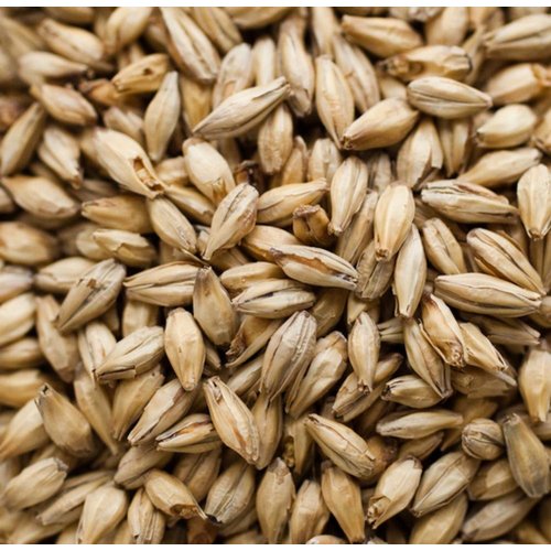 Briess Pale Ale Malt - 1 LB, Uncrushed