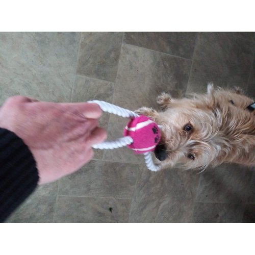 Dog Toy Figure 8 Rope and Tennis Ball, Interactive Tug of War Rope, Great for Fetch for Small Dogs and Puppies Chew toy