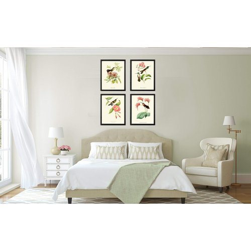 Hummingbirds Botanical Wall Art Home Decor Print Set of 4 Pink Green Antique Beautiful Tripical Birds Flowers Plants Illustration Home Room Decor Wall Art Unframed LoveThePrint