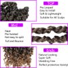 Starlovely Passion Twist Hair 18 Inch, Pre-Looped Crochet Braids for Black Women, Bohemian Curly Twist T27 color Synthetic Hair Extensions