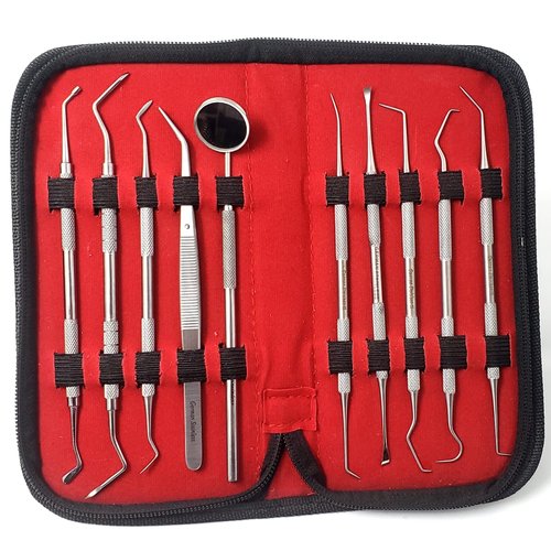 10 Pcs Professional Plaque Remover Kit Oral Care Tools Stainless Steel Double Ended Dental Picks with Scraper, Mouth Mirror, Tweezers & Plugger for Gum Care Cleaning Set with Carrying Case