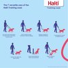 HALTI Training Leash - Multifunctional Double-Ended Dog Leash, Ideal for Anti-Pulling Dog Training. Easy to Use, Lightweight, Soft & Durable. Suitable for Puppies and Small Dogs (Size Small, Red)