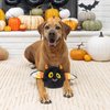 Fringe Studio Plush Dog Toy, Durable, Bat's The Way It is (729058), Multicolored