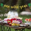 One Wild Year Banner, Wild One, My First Birthday, Jungle Wild Safari Zoo Themed Happy 1st Birthday Party Decorations for Baby Boys Girls