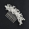 Brihasory Crystal Bride Wedding Hair Comb Silver Rhinestone Bridal Hair Accessories for Bride Party Prom Head Pieces Flower Hair Sides Elegant Hair Clips for Women and Girls Bridesmaids Gifts