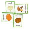 Set of Vegetables Flash Cards for Toddlers(20 pc) | Kids Learning Flashcard & Montessori Pocket Cards Toys | Perfect for Pre-K Decor Background Wall Stickers, Teacher/Autism Therapists Tools