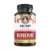 Ancient Bliss Berberine HCL 1200mg with Ceylon Cinnamon, Bitter Melon, and Green Tea Extract - 120 Capsules Supports Glucose Metabolism, Immune System