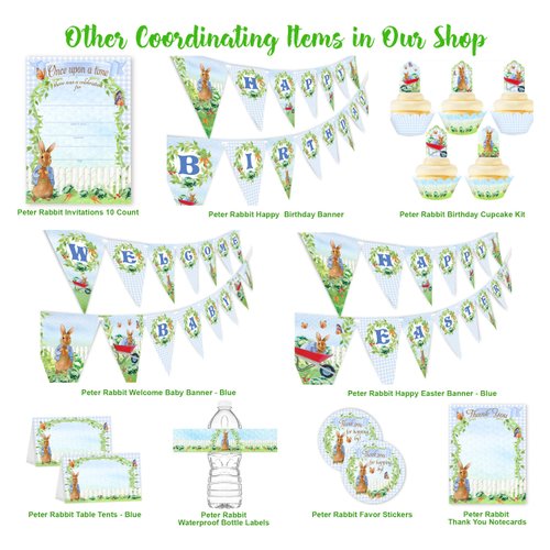 Peter Happy Birthday Banner Pennant - Rabbit Birthday Decorations - Peter Party Supplies - Blue