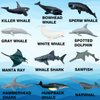 Higherbros Sharks Figures Sea Animals Whale Toys Set Ocean Animal Action Figures, Great for Kids Bath Toys, Beach Toys, Cake Topper and Party Favors, Gifts, Prizes, Rewards (12 PCS)