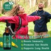 newseel Mullein Leaf Extract for Lungs,Mullein Drops for Lungs,Mullein Chlorophyll Drops for Lungs,Mullein Herbal Supplements with Chlorophyll (2Pack)
