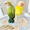 TogyGooty Pet Bird Toys, Parakeet Toys Natural Bird Toys Bird Cage Accessories, Swinging Chewing Hanging Standing Bird Swings Suitable for Budgerigar, Parakeet, Conure, Lovebird, Cockatiel