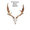 Fallow Deer skull with Antlers - 1:12 scale deer antlers skull for diorama, miniature horror, dollhouse decor, art supplies (1 skull) (Bone (hand painted), Cranium)