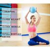 JUFANGFIN Pilates Exercise Ball Mini 6 Inch Yoga Barre Workout Fitness Balance Physical Therapy Squishy Balls for Home with Pump(Purple)