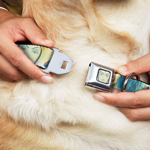 Dog Collar Seatbelt Buckle Snow White Dwarves Old Witch Evil Queen Scenes 15 to 26 Inches 1.0 Inch Wide, Multicolor