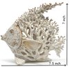 VVGIFTS Beach Coastal Decor Coral Reef Angelfish Home Office Desk Decor Sculpture Statue for Tabletop Shelf Bathroom Decoration Ornament Gift (White)