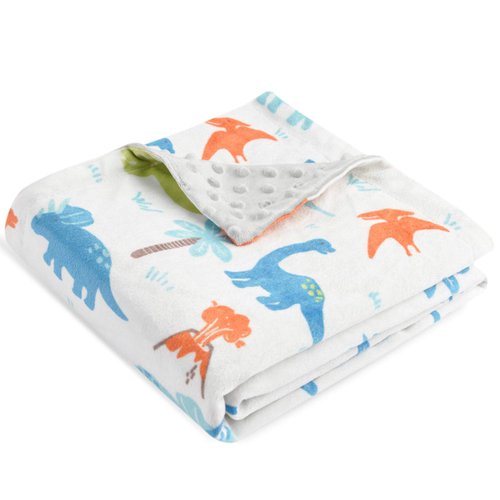 HOMRITAR Baby Blanket for Kids Super Soft Minky Blanket with Dotted Backing, Toddler Blanket with Dinosaurs Multicolor Printed 30 x 40 inch(75x100cm)