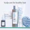 Briogeo Scalp Revival Charcoal + Tea Tree Scalp Treatment, Scalp Serum to Soothe a Dry, Flaky, Itchy Scalp, Absorb Oil, Hydrate Dry Scalp, Clarify Build Up, Vegan, Cruelty-Free, 1 fl oz