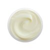 Raya Revitalizing Cream (307) | Moisturizing, Regenerating, and Calming Facial Day and Night Cream for Dry and Irritated Skin | Nourishes and Helps Reduce Fine Lines and Wrinkles