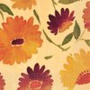 amscan Beverage Napkins Warm Floral