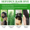 ALIVER Hair Dye Shampoo (Black) - 3-in-1 Natural Herbal Essence: Coloring, Nourishing, and Hair Growth Promoter - 500ml, Hypoallergenic and Harmless for Scalp Care