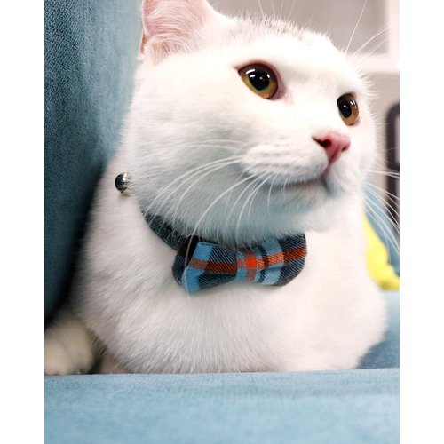 Joytale Upgraded Cat Collar with Bells, Breakaway Cat Collars with Bow Tie, 1 Pack Girl Boy Safety Plaid Kitten Collars, Haze Blue