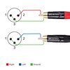 Cable Matters Dual RCA to XLR Unbalanced Interconnect Cable 10 ft, 2 RCA to XLR Male Cable (Dual XLR to RCA Cable) - 10 Feet