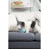 Midlee Plush Easter Egg Dog Toy- Blue (Small)