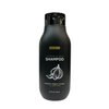 Black Garlic Hair Loss Shampoo by NATUREPOP - Prevents Hair loss, Stimulates growth - Sulfate Free Paraben Free - Ajo Negro Shampoo para la caida del cabello 16.9 fl oz/ 500 mL Made in Korea