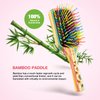 Rainbow Hair Brush for Women, Men, and Kids - Health and Massage, Everyday Brush (Small)