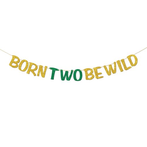 RoadSea Born Two Be Wild Banner - Boy Girl Kid 2nd Birthday Party Supplies - Baby Shower Idea and Gift - Two Years Old Birthday Party Decorations - Gold Glitter