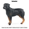 JOKFEICE Farm Animal Figurines, Realistic Rottweiler Fairy Garden Accessories, Learning Toys for Science Project, Birthday Cake Topper Gift for Kids